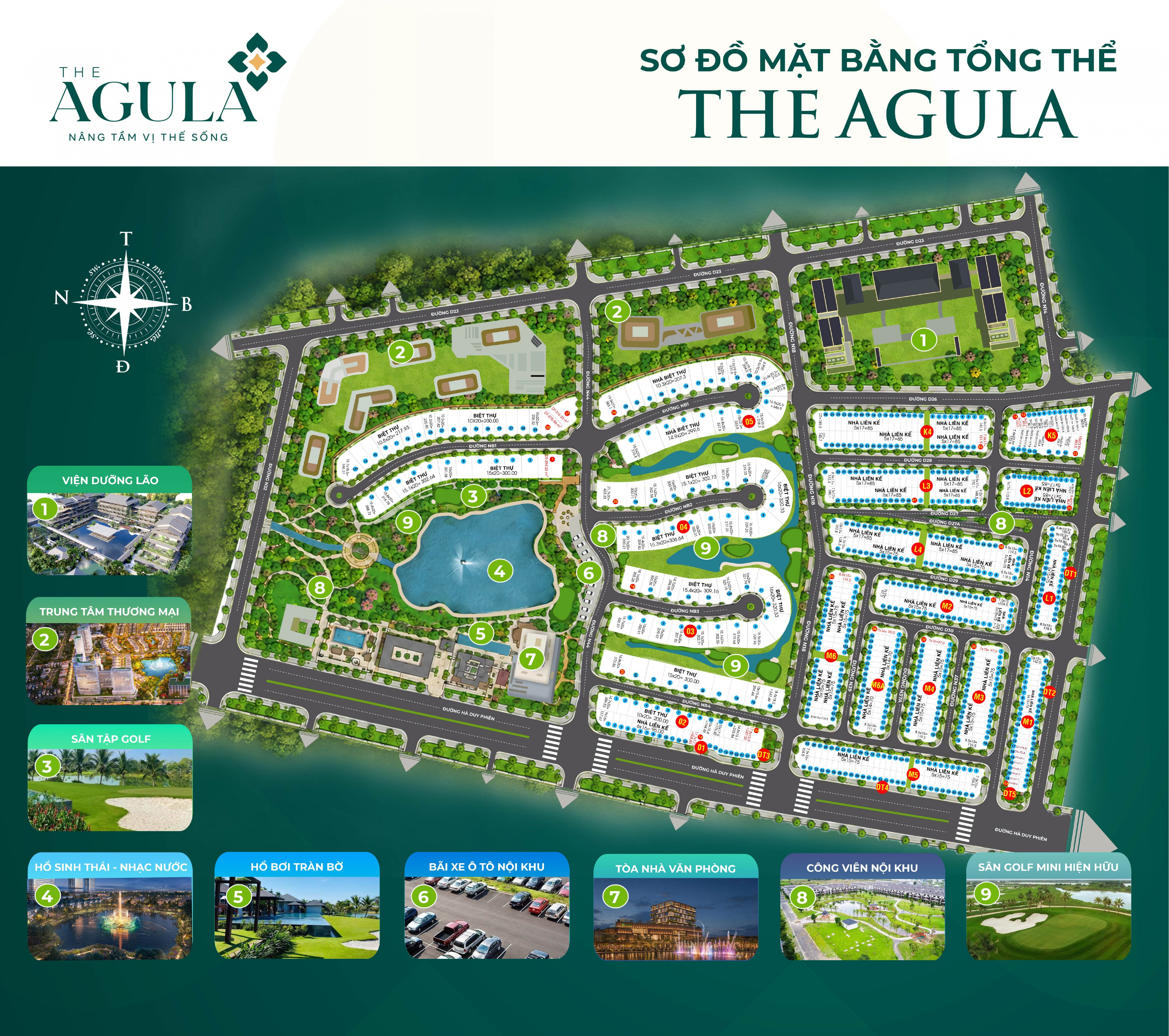 THE AGULA